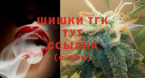 гашик Гусь-Хрустальный