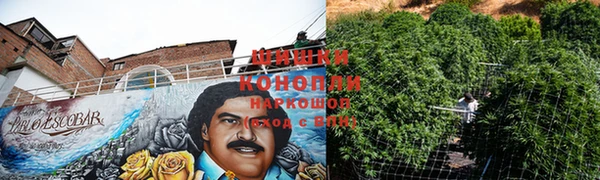 экстази Осинники