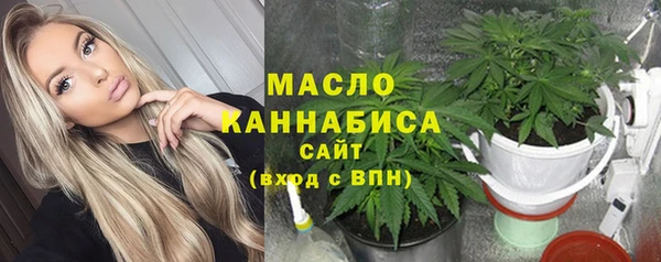 тгк Няндома