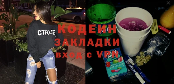 гашик Гусь-Хрустальный
