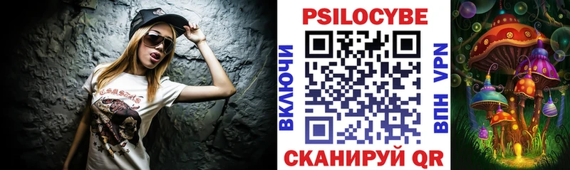 Галлюциногенные грибы Psilocybe  Полесск 