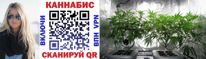 Каннабис THC 21%  ОМГ ОМГ как войти  Полесск 